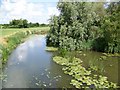 River Stour near Marnhull