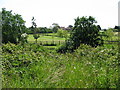 Looking S across the canal to houses on West Hythe Road