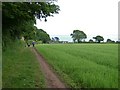 Footpath No.22 on the edge of a field