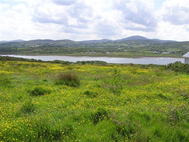 Magheranaul, Doagh Island