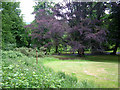 Cyclist in Holywells Park, Ipswich