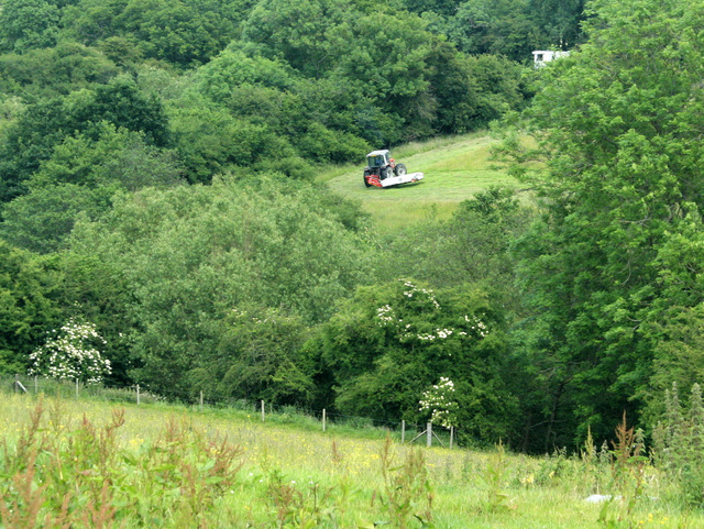 2009 : Haymaking near Publow Farm