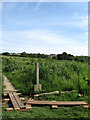 Boardwalk, Combe Haven