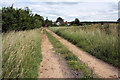 Butt Lane, Fakenham Magna