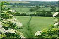 Footpath from Astrop Hill