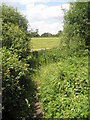 Field as seen on the footpath from Northcroft Road to The Sun.