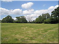 Crown land at Englefield Green (3)