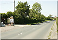 2009 : Pet rabbit and plant centre on the A342