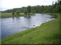 Angler in the Dee