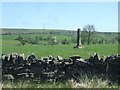 NY8179 : Ancient cross in a field by Simon Johnston