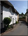 Cottages in Slapton