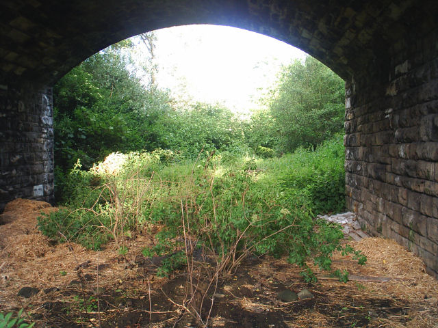 Disused railway line under the Hexham to Warden road