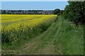 Farmland on the edge of Melton Mowbray