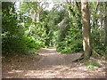 Strouden, Wordsworth Woods