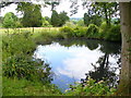 Pond, Hyes Farm