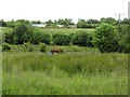 Ballinamullin Townland