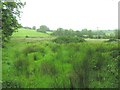 Ballinamullin Townland