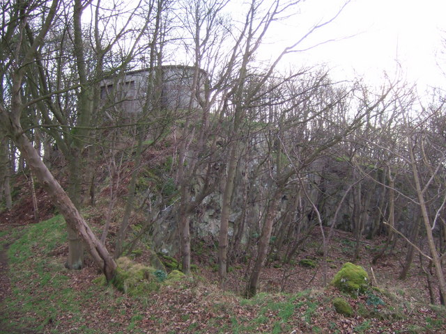 Braefoot Plantation quarry