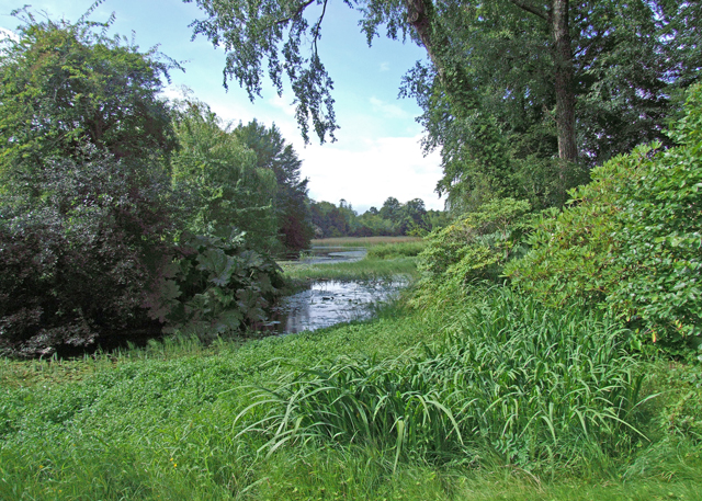 Birr Castle grounds © Dennis Turner cc-by-sa/2.0 :: Geograph Britain ...