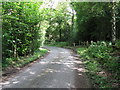 Waymarker at sharp bend on Buncton Lane