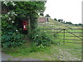 Winterborne St. Martin: postbox № DT2 184, Ashton Farm