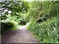 Footpath at Micklehurst