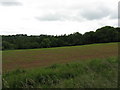 Field Near Woodmanton Farm