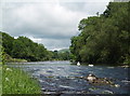 River Wye near Boughrood