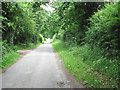 Rural lane to Langmere