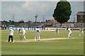 Traditional cricket whites at the County Ground