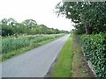 N9527 : Grand Canal Towpath at Ardclough, Co. Kildare by JP