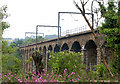 Railway viaduct near Lesbury