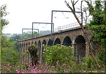NU2212 : Railway viaduct near Lesbury by Andy F