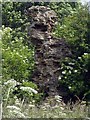 Rothwell Castle remains