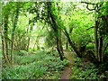 Path west of Bailey Pit Farm