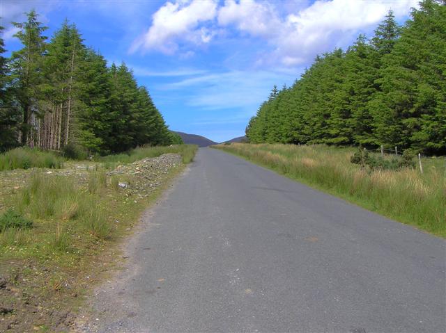 Road at Drumnacross