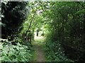 This footpath runs parallel with the A23 at Bolney