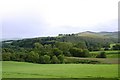 NJ3145 : Field and trees near Maggieknockater by Andrew Wood