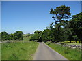 Chelmorton - Approaching Pippenwell Crossroads