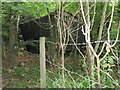 Lean-to shed found alongside footpath in Bolney Wood