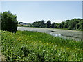 The Broadwater on the Lagan Canal