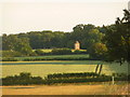 Wimborne St. Giles: distant view of the Philosopher?s Tower