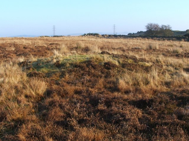 Grass-covered ancient cairn