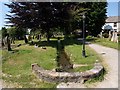 Leat, churchyard, Kingsteignton