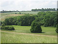 Practise Tee in Faversham Golf Club