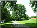 Potternewton Park