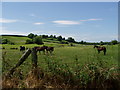 Townland of Annahunshigo on Cabra Road