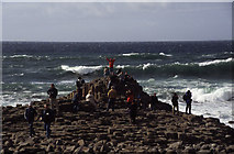 C9444 : The Giant's Causeway by Chris Allen
