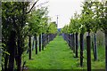 Footpath to Bayworth