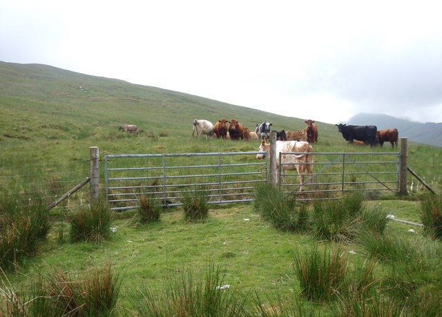 Double gate on the west ridge of Cruach na Cioba